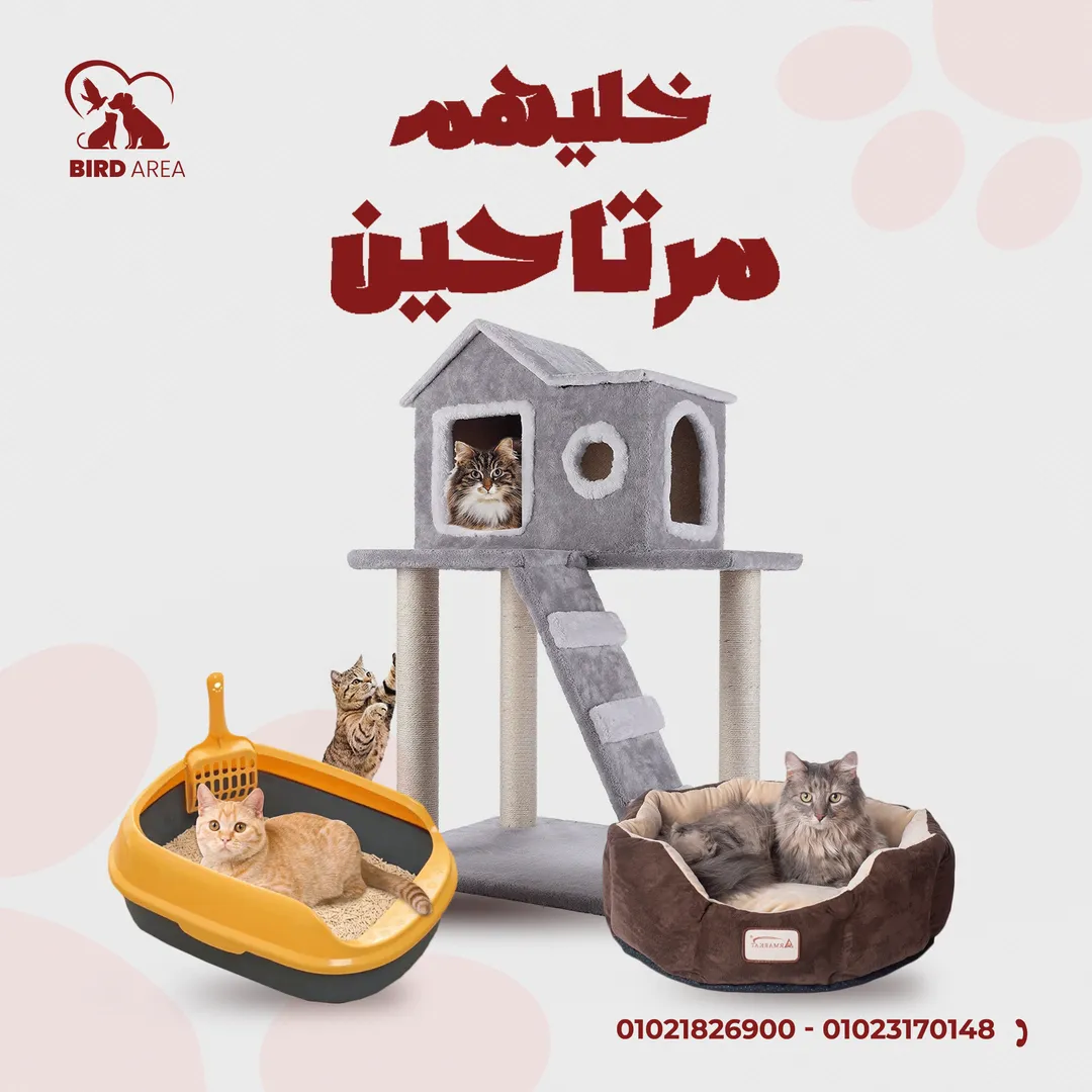 بيرد إيريا — 1