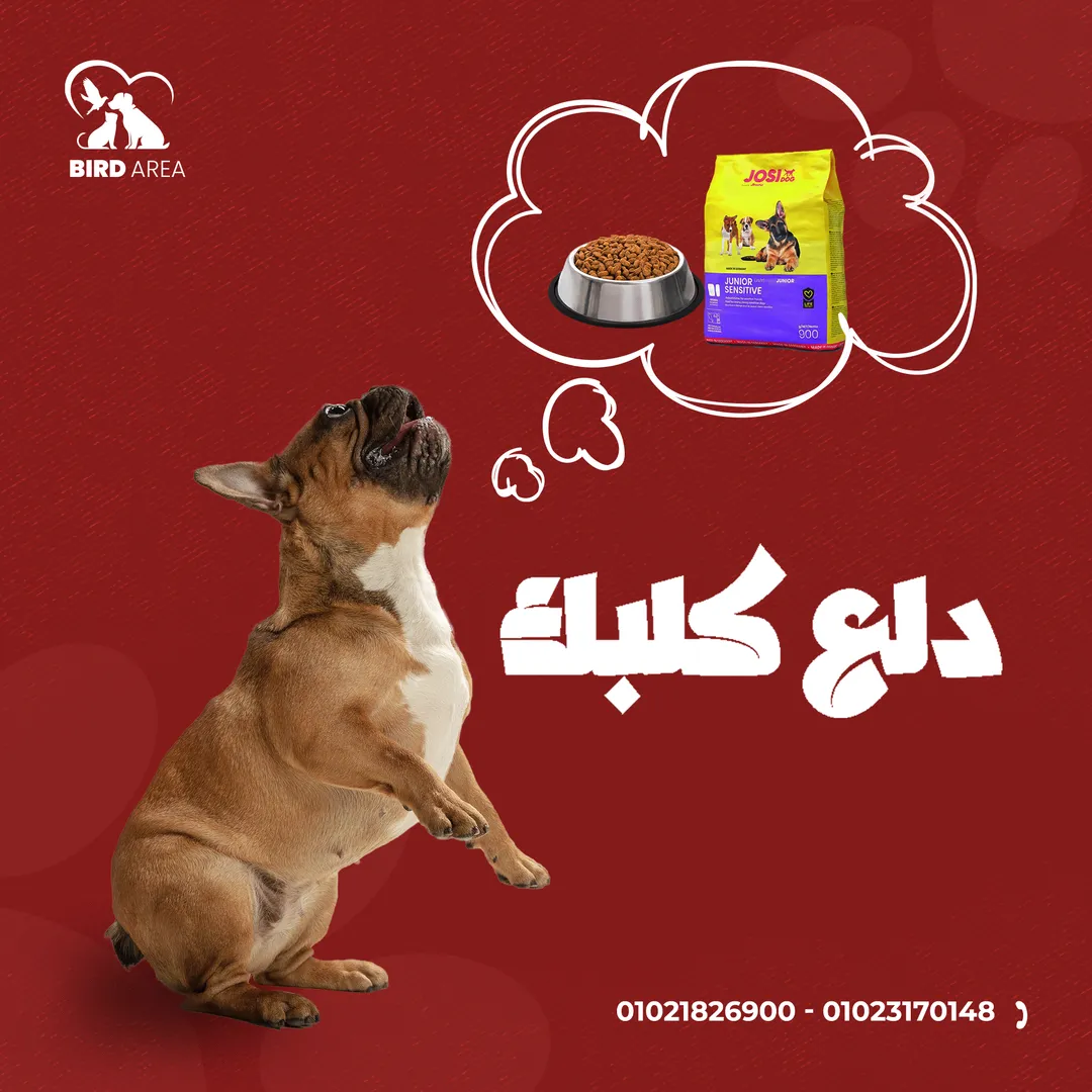 بيرد إيريا — 3