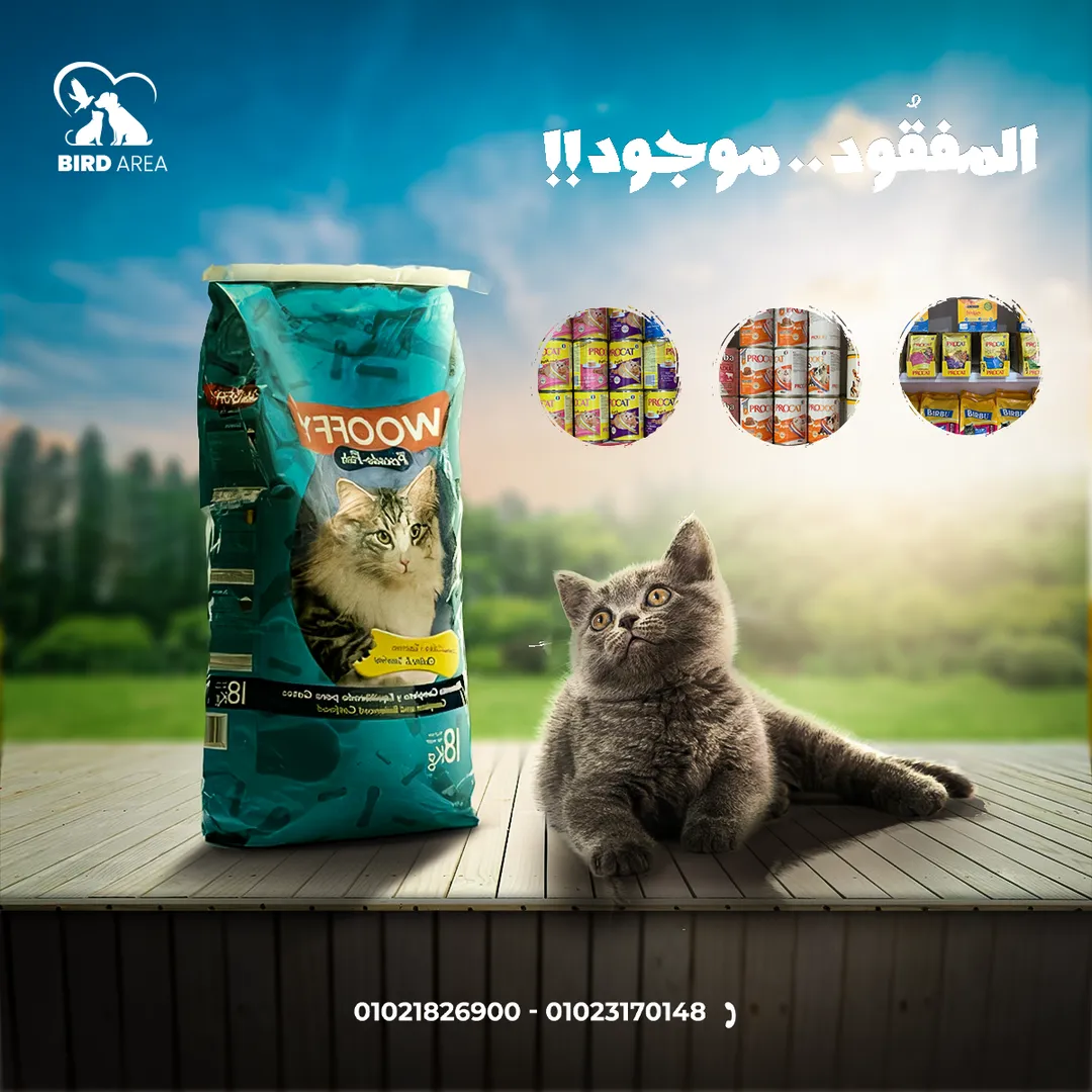 بيرد إيريا — 5