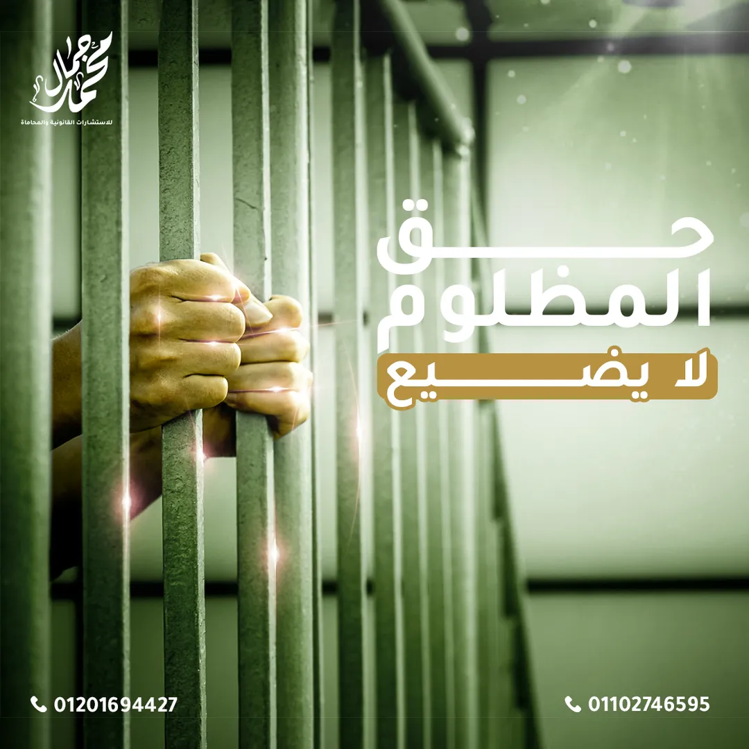 Mohamed Gamal Law Office — 8