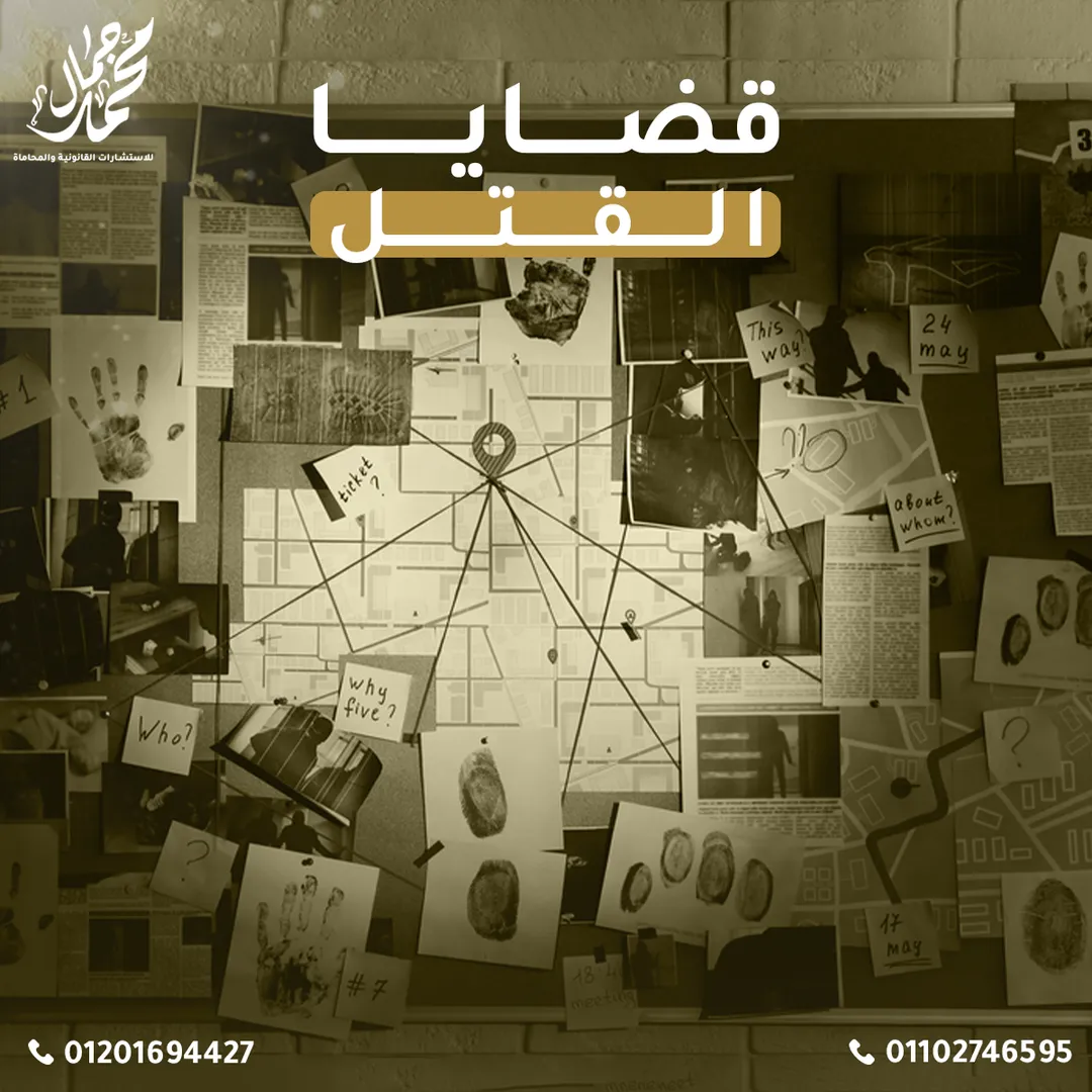 Mohamed Gamal Law Office — 11