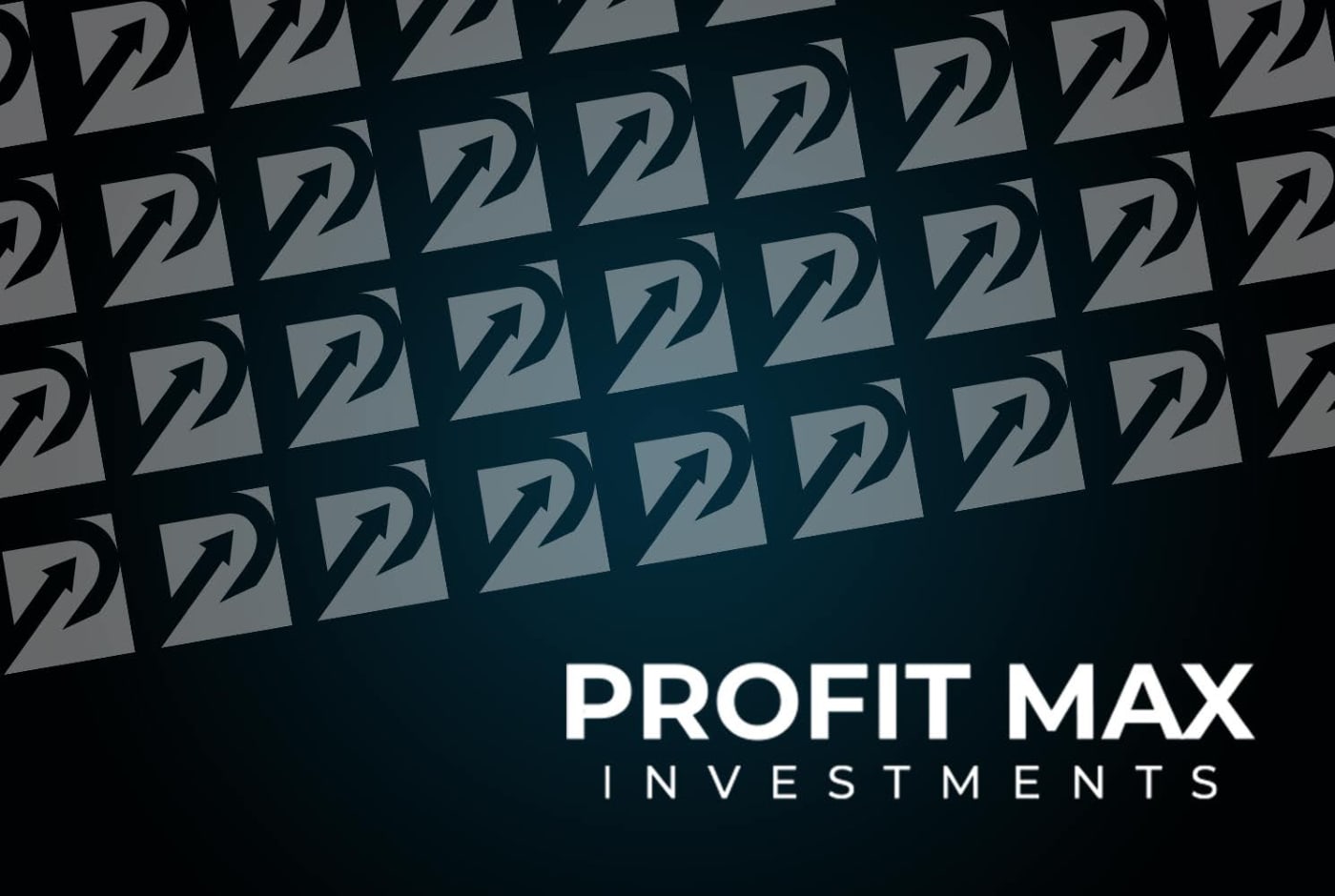 Profit Max Investments — 8