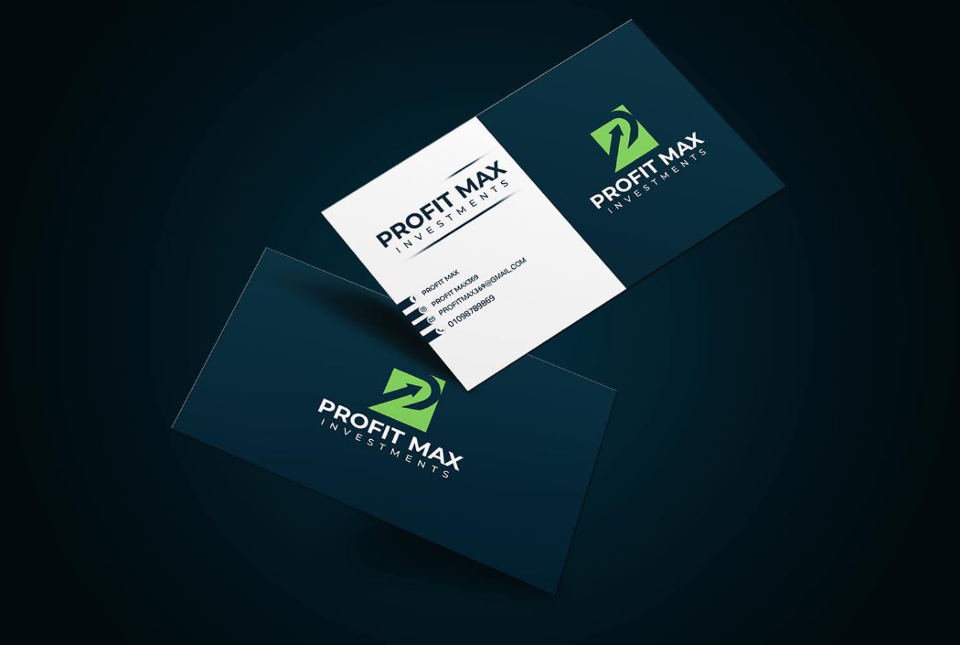 Profit Max Investments — 13