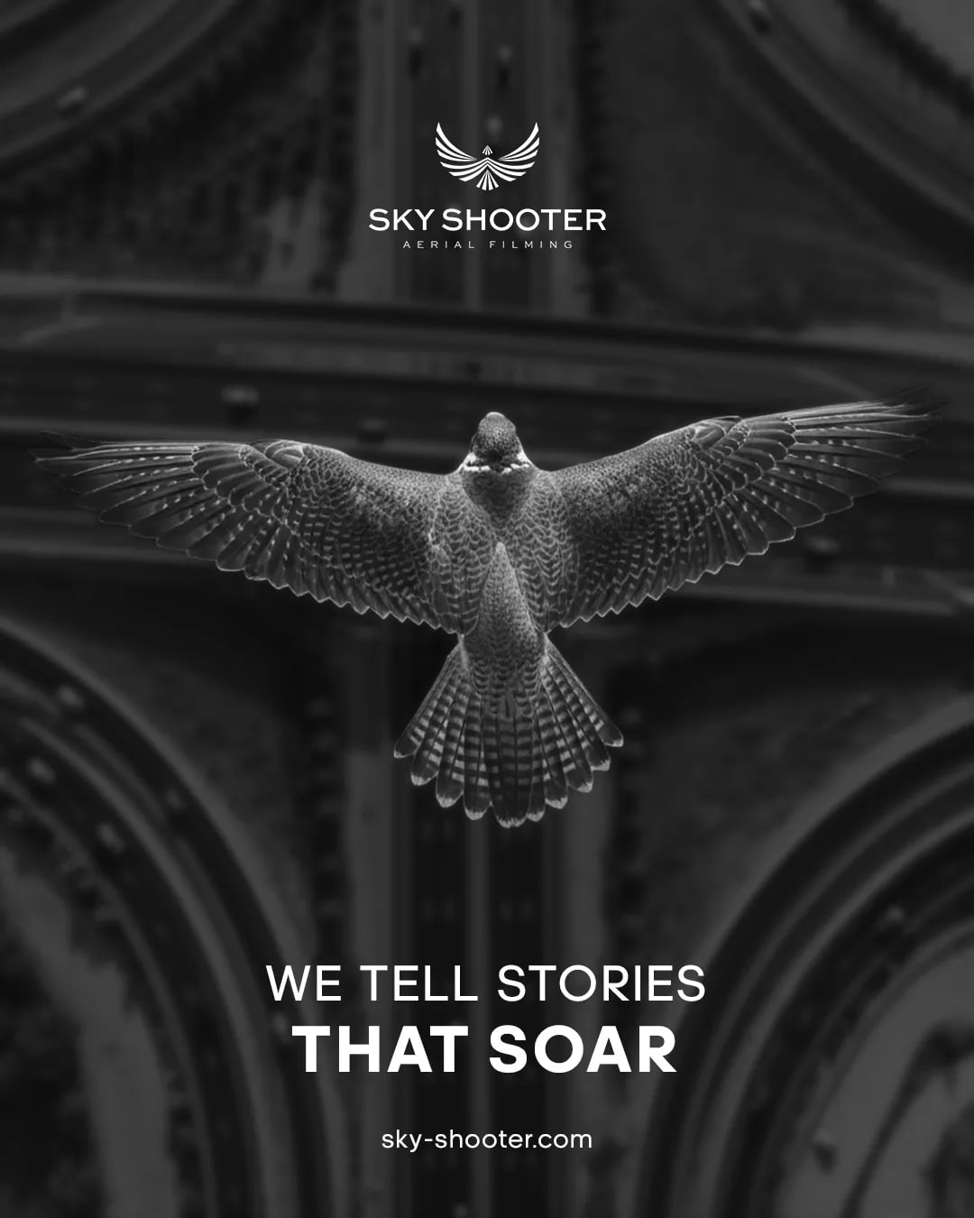 Sky Shooter